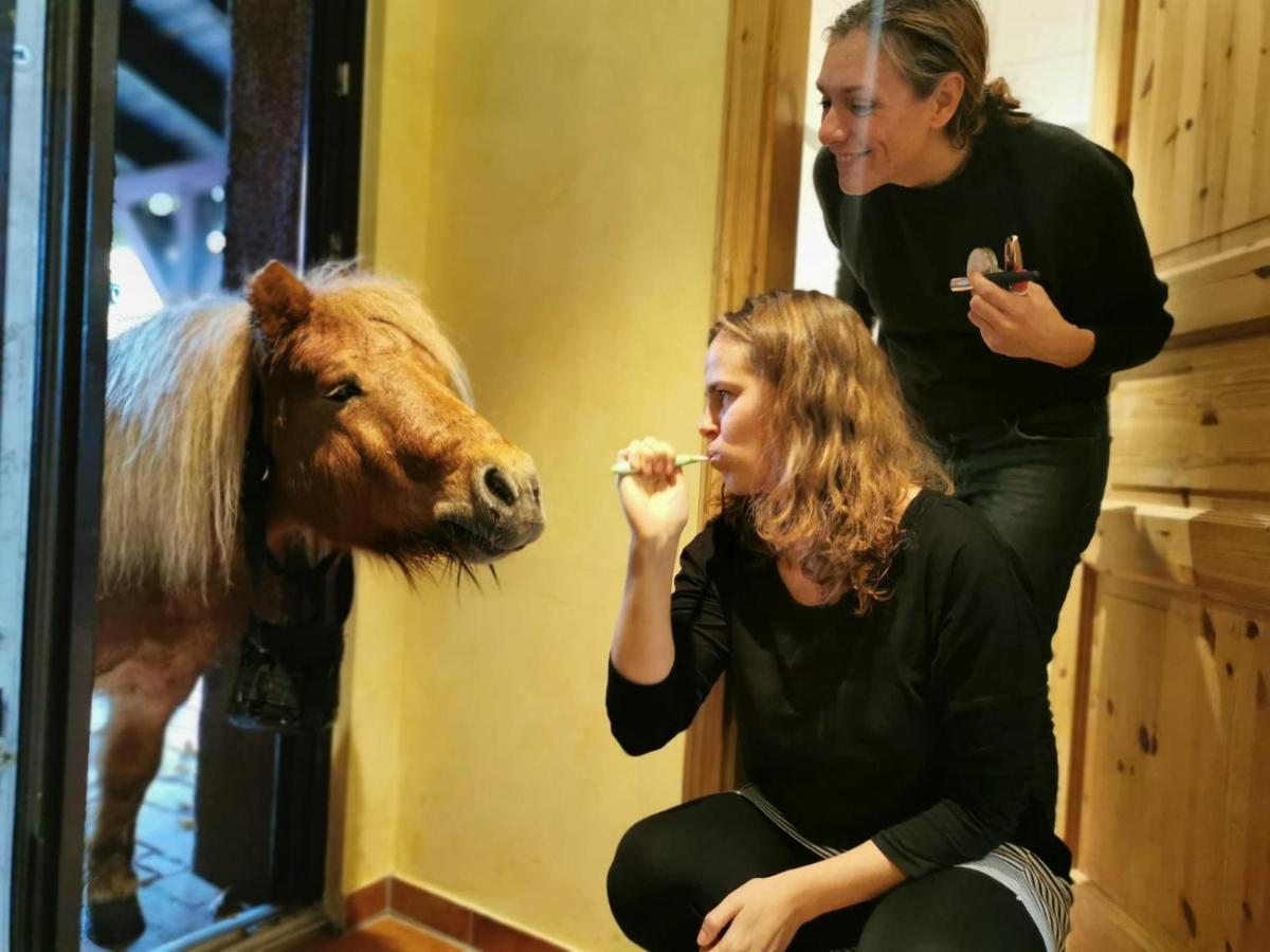 Ferienwohnung Kunz Burg  Dış mekan fotoğraf